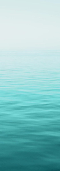 untitled image